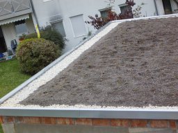 Gründächer